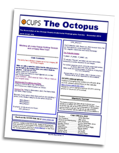 The Octopus Newsletter